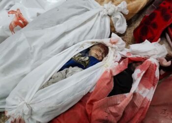 19 مجزرة خلال 24 ساعة ارتكبها الاحتلال وحصيلة جديدة لشهداء غزة