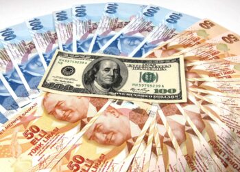 الليرة التركية تواصل تراجعاتها الحادة