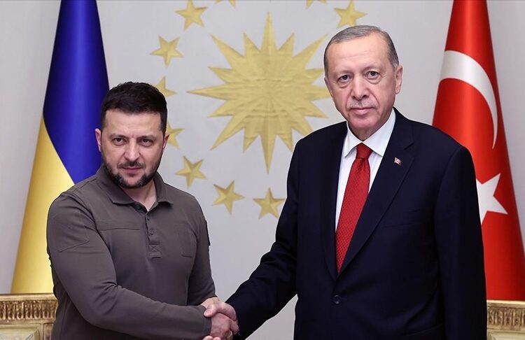 أردوغان وزيلينسكي يبحثان قضايا إقليمية وعالمية