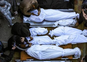 ارتفاع حصيلة الحرب في غزة إلى “24 ألفا و285 شهيدا”