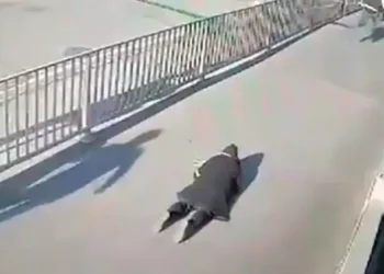 Çağlayan Adliyesi’ndeki saldırıda hayatını kaybeden kadının vurulma anı ortaya çıktı