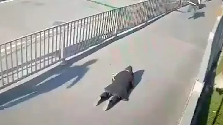 Çağlayan Adliyesi’ndeki saldırıda hayatını kaybeden kadının vurulma anı ortaya çıktı