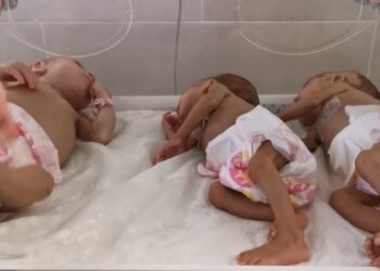  أطفال خدج بمستشفيات رفح فقدوا الاتصال بذويهم