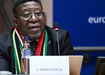 جنوب أفريقيا تدعو دول العالم للشهادة ضد إسرائيل