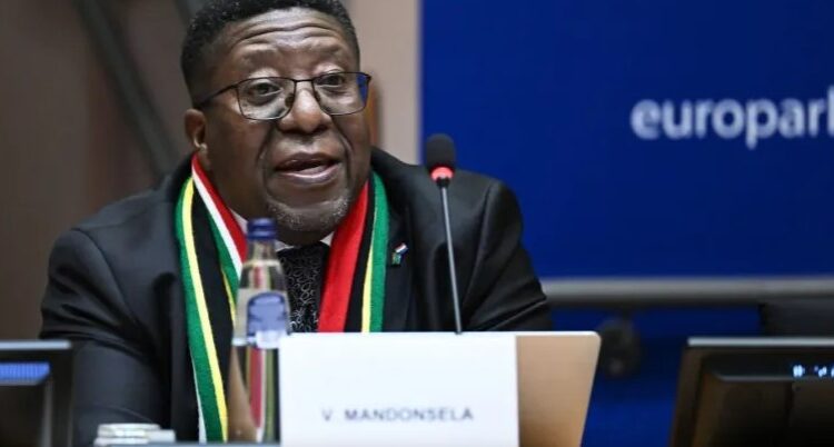 جنوب أفريقيا تدعو دول العالم للشهادة ضد إسرائيل 1 جنوب أفريقيا تدعو دول العالم للشهادة ضد إسرائيل