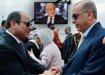 بعد المرشد.. عقار دوار يهدد جنسية قيادات إخوانية أخرى بتركيا