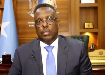 وزير العدل الصومالي: تعرضنا للعدوان من جيراننا واتفاقنا مع تركيا للدفاع عن سيادتنا