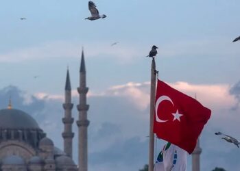 جديد الإخوان في تركيا.. بيع الجنسية بـ 60 ألف دولار