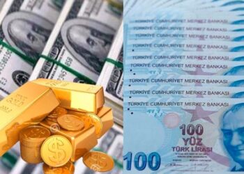 تركيا.. الدولار يجدد ذروته التاريخية وتجاوز 31 ليرة لأول مرة