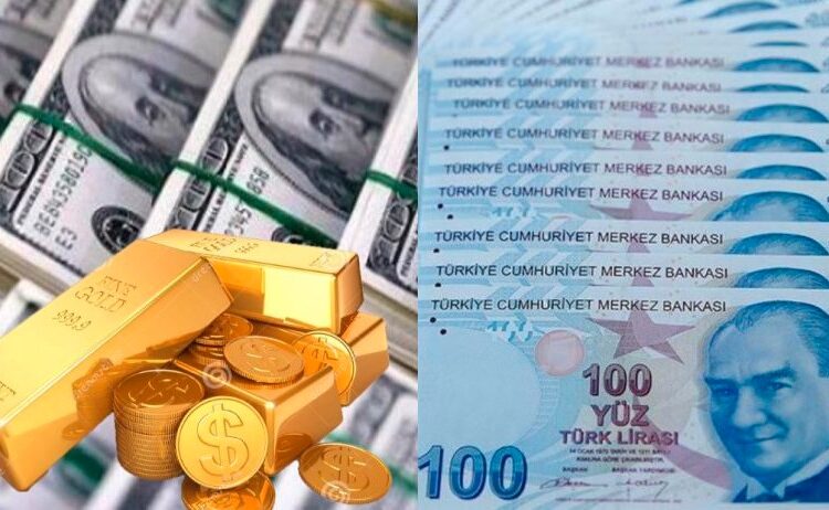 تركيا.. الدولار يجدد ذروته التاريخية وتجاوز 31 ليرة لأول مرة 1 تركيا.. الدولار يجدد ذروته التاريخية وتجاوز 31 ليرة لأول مرة