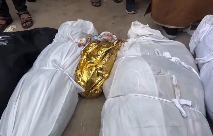 شاهد.. انتظرا مولودهما 15 عاما واستشهدا معه بغزة 1 شاهد.. انتظرا مولودهما 15 عاما واستشهدا معه بغزة