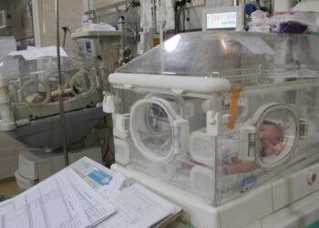 شمال غزة.. الموت جوعا يحصد براءة الأطفال (مقابلة)