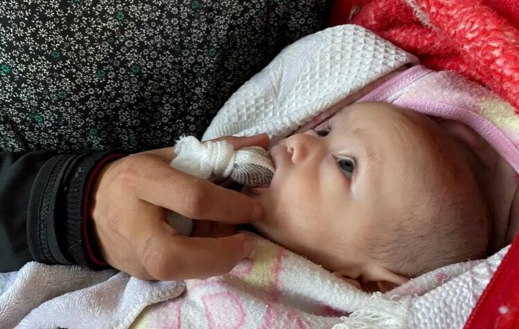 الجوع يلتهم 15 طفلا بغزة واليونيسيف تحذر من المستقبل 1 الجوع يلتهم 15 طفلا بغزة واليونيسيف تحذر من المستقبل