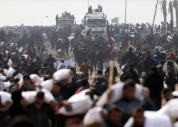 وسط صرخات الجوع.. مقتل 5 بغزة تهافتوا على شاحنات الغذاء