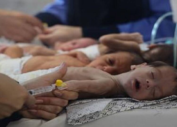 آلاف الأجنة قتلوا بمركز لأطفال الأنابيب في غزة بفعل قصف للاحتلال