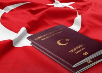 عودة العمل بملفات تجنيس السوريين في تركيا.. ما وراء ذلك؟