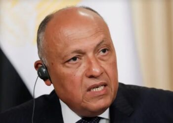 شكري من تركيا: يجب وقف حرب غزة وإيجاد مسار سياسي لإقامة دولة فلسطينية