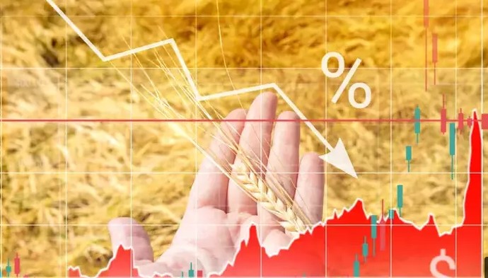 ارتفاع مؤشر «الفاو» لأسعار الغذاء من أدنى مستوياته في 3 سنوات 1 ارتفاع مؤشر «الفاو» لأسعار الغذاء من أدنى مستوياته في 3 سنوات