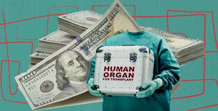 قبل تكرار جريمة “طفل شبرا” بمصر.. سيدة تخدر ابنها لبيع أعضائه