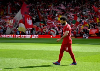 “محاط بالحمقى” عنوان لافت لصورة كتاب نشره صلاح