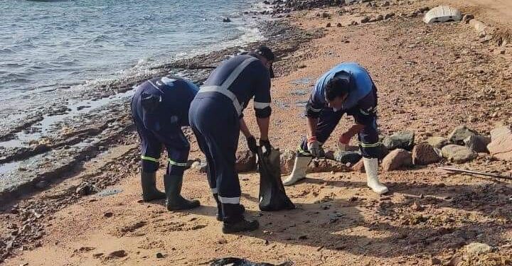 عواقب جمع الحصى من الشواطئ على البيئة 1 جمع الحصى