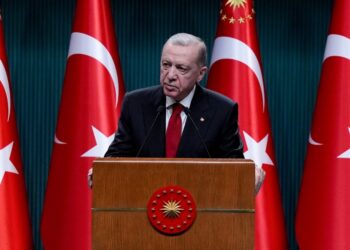 “لا دولة آمنة”.. أردوغان يحذر من جرائم الاحتلال ويصف نتنياهو بـ”مصاص الدماء”