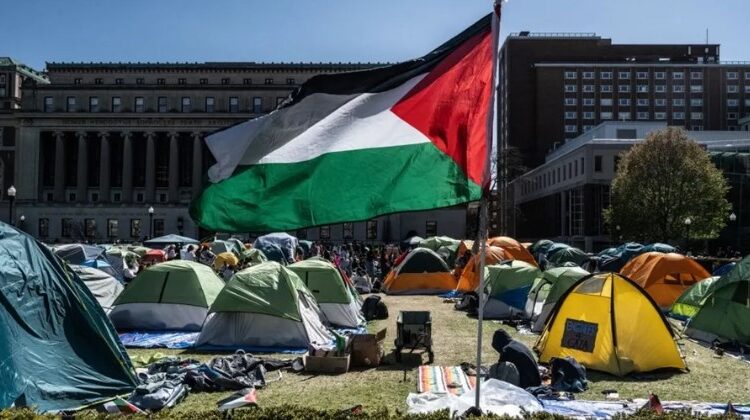 أعضاء هيئة تدريس بجامعة أمريكية يضربون عن الطعام تضامنا مع الطلبة الداعمين لغزة