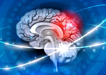 كيف يقرر الدماغ أي الذكريات يجب الاحتفاظ بها وأيها يجب التخلص منها؟