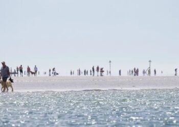 دراسة: صيف 2023 الأكثر سخونة منذ نحو 2000 عام