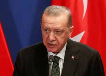 المركزي التركي