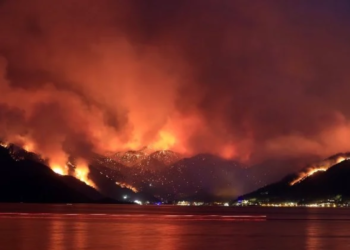 تركيا: السيطرة على حريق بأراض زراعية تسبب في وفاة 12 وإصابة 78