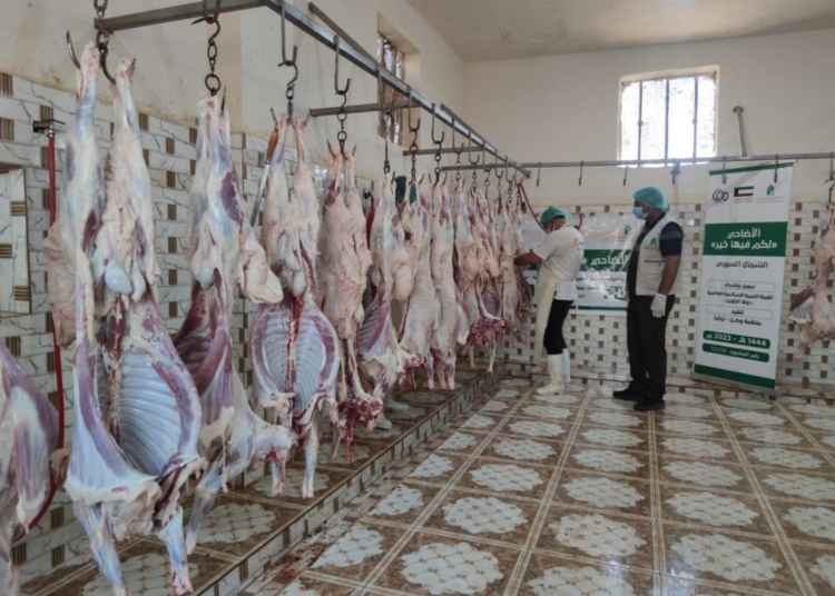 لحوم أضاحي تركية ل"20 ألف" عائلة في جنوب إفريقيا.. 1 لحوم أضاحي تركية ل”20 ألف” عائلة في جنوب إفريقيا..