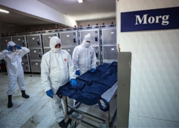 جريمة مروعة.. محام مصري يذبح أسرته ويحرقها ويفر هاربا