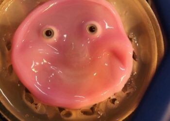 علماء يابانيون ينجحون في جعل روبوت يُظهر “ابتسامة طبيعية”