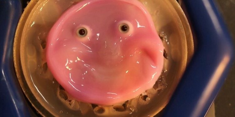 علماء يابانيون ينجحون في جعل روبوت يُظهر “ابتسامة طبيعية”