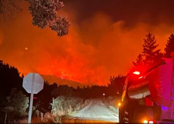 عُلقت الملاحة بمضيق الدردنيل.. حريق كومة قش يمتد إلى الغابة في تركيا