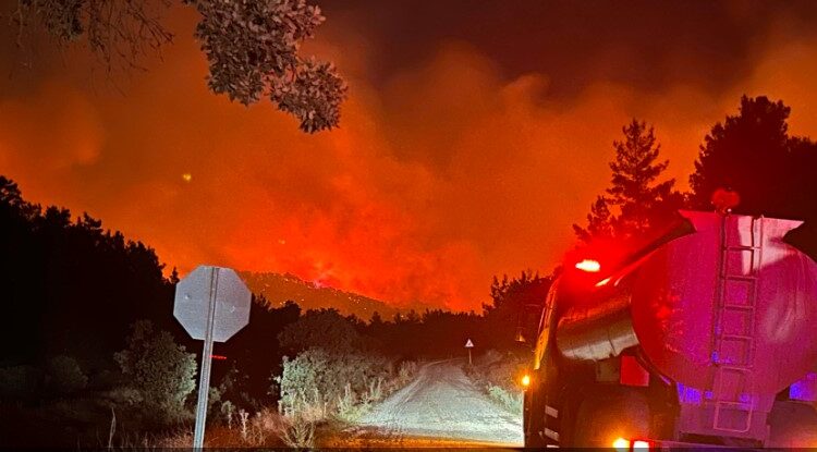 عُلقت الملاحة بمضيق الدردنيل.. حريق كومة قش يمتد إلى الغابة في تركيا