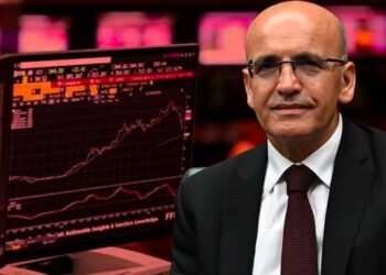 وزير المالية التركي:” سنحسن توزيع الدخل”