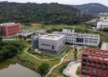 WSJ bakanlığın istihbarat raporunu yazdı: Covid-10 büyük olasılıkla laboratuvardan sızdı