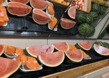 Karpuzun kilosu 30 lira