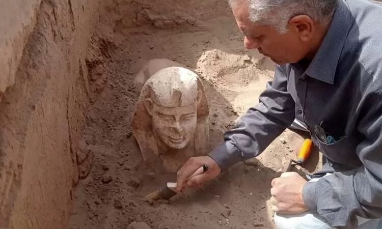Mısır'da Roma İmparatoru Claudius'u temsil ettiği düşünülen bir sfenks bulundu 1 Mısır’da Roma İmparatoru Claudius’u temsil ettiği düşünülen bir sfenks bulundu