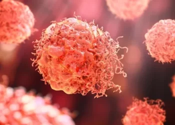 Kanserin yayılmasında etkili olan hücreler tespit edildi