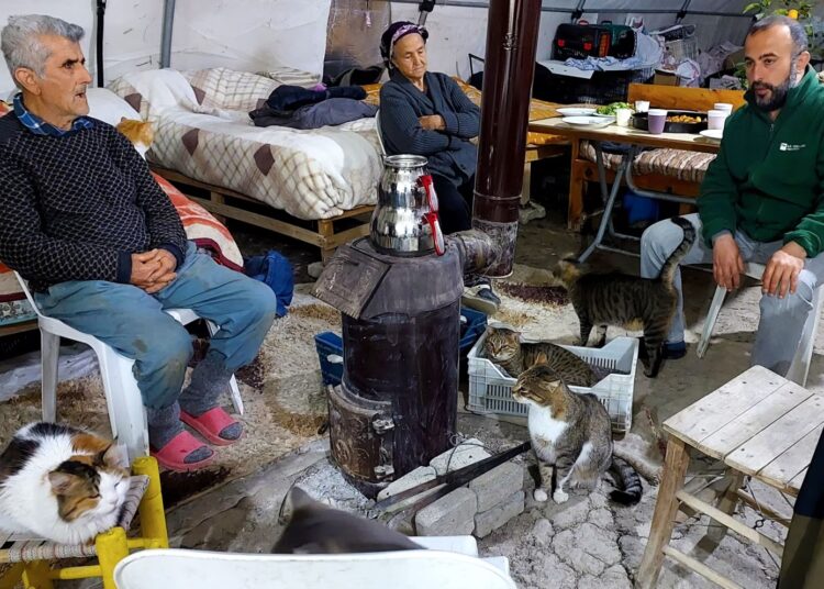 Depremzede aile, 50’den fazla kediyle çadırda yaşıyor 1 Depremzede aile, 50’den fazla kediyle çadırda yaşıyor