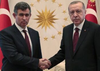 Büyükelçi Feyzioğlu, AK Parti için oy istedi