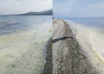 Tehlike geri döndü: Uzmanlardan ‘müsilaj’ uyarısı