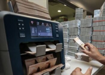Ekonomistler: Döviz hesabı olanlar ‘olumsuz’ gelişmelere hazırlansın