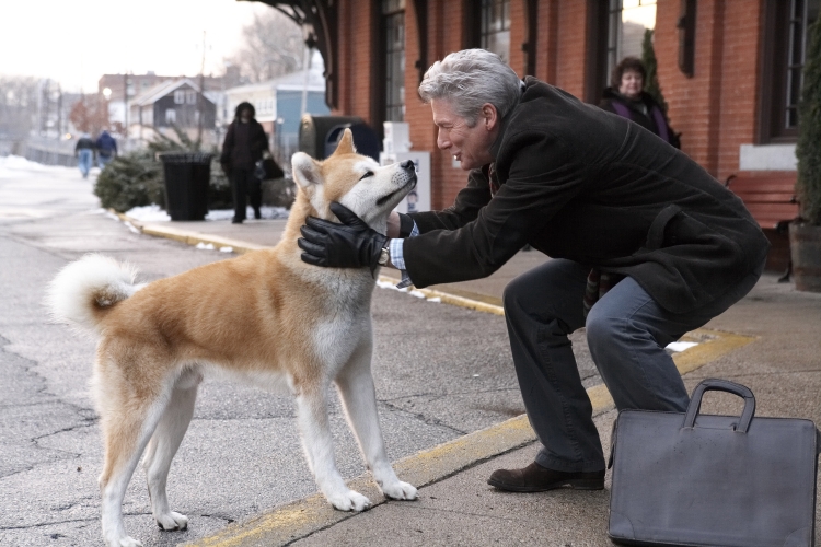 HABER YORUM... Sadakat timsali Hachiko’un insana verdiği ‘sadakat’ dersi 1 HABER YORUM… Sadakat timsali Hachiko’un insana verdiği ‘sadakat’ dersi
