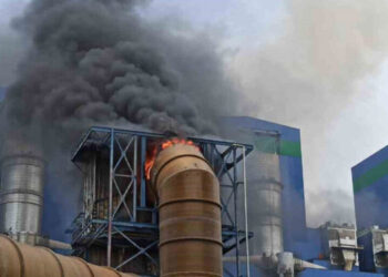 Türkiye’nin en büyük termik santralinde yangın