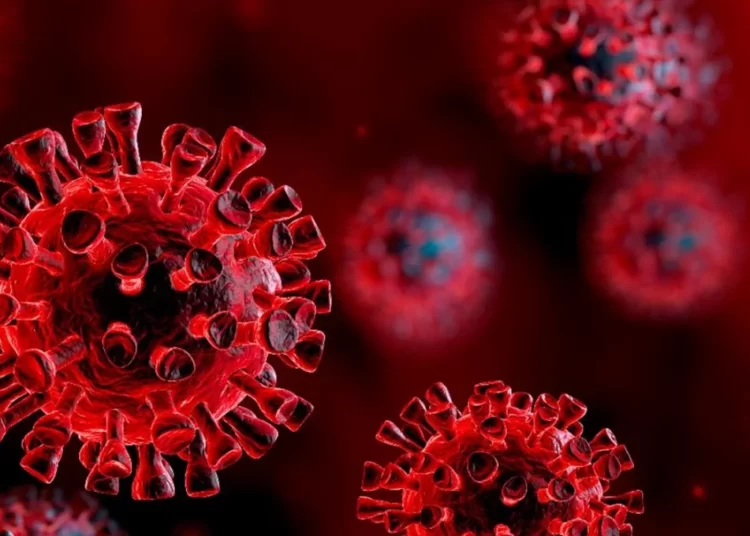 Covid-19 virüsünün beyin hücreleriyle birleşebildiği kanıtlandı 1 Covid-19 virüsünün beyin hücreleriyle birleşebildiği kanıtlandı