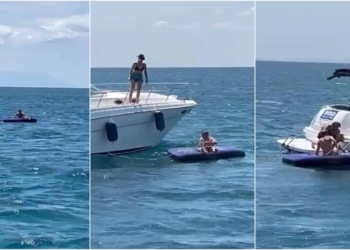 Deniz yatağında uyuyakaldı, 4 mil açıkta kurtarıldı